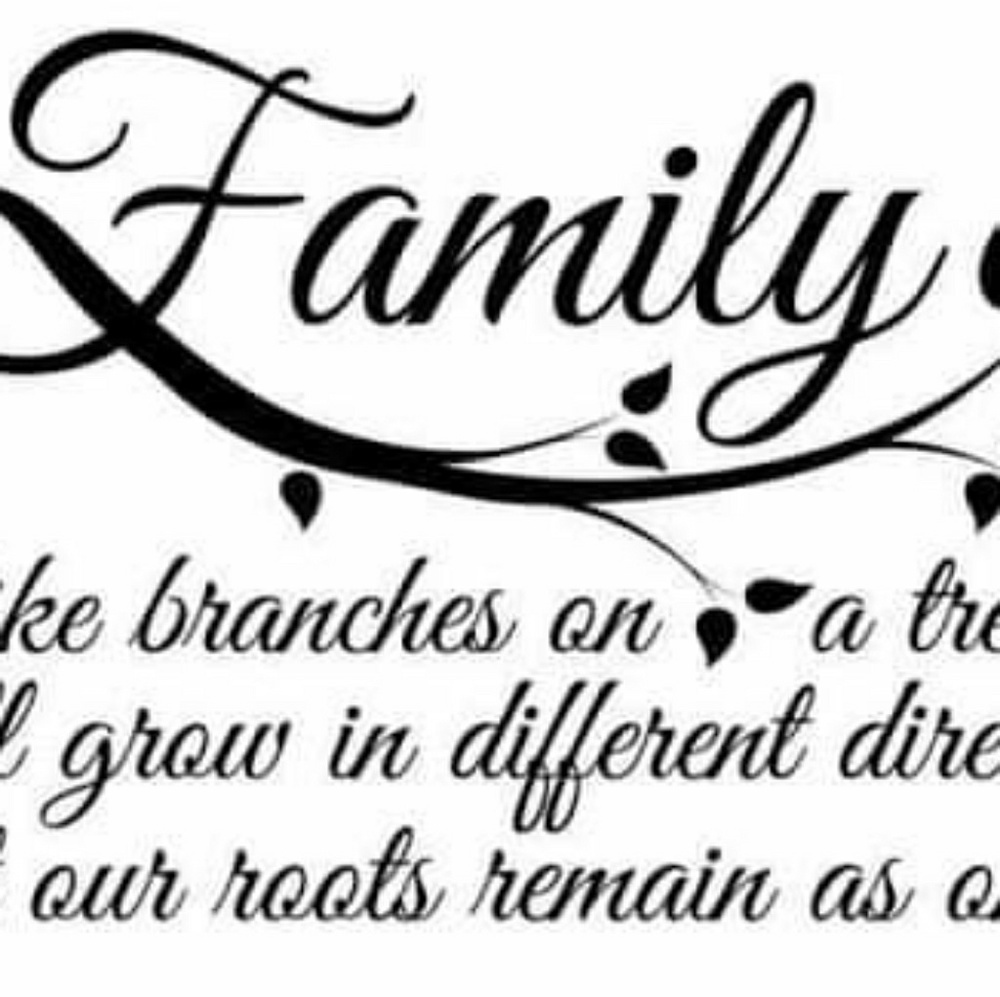 Meet your Posher, Delna